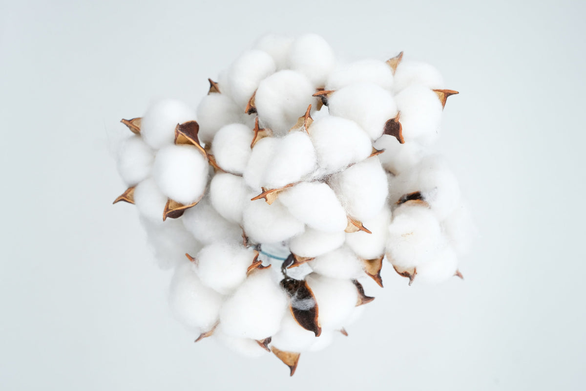 How to care for cotton towels properly